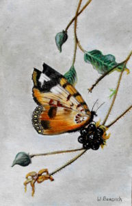dierenportret, dierenschilderij, olieverf, Kromme Gevel, vlinder